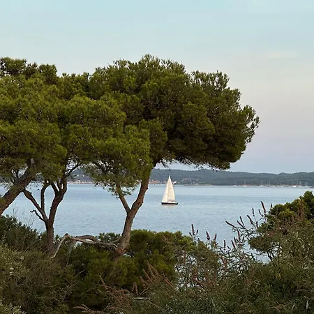 L'instant - Vue - Bord De - La Capte - Cote D'azur